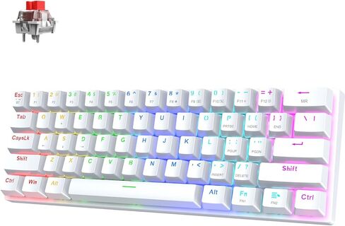 60% Wireless Gaming Keyboard, 2.4G/Type-C/Multi-Device Bluetooth Keyboard- RGB Backlit- Clicky Blue Switch, 61 Keys Rechargeable Mini Mechanical Keyboard for iPad Mac Windows Xbox, Portable for Travel in Kuwait
