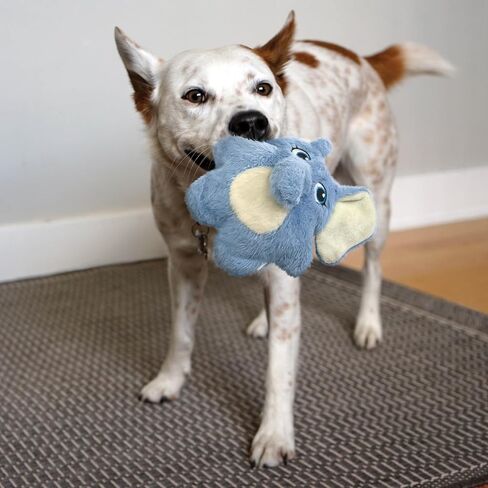 KONG Company 38749848: Snuzzles Kiddos Dog Toy, Elephant Sm in Saudi Arabia