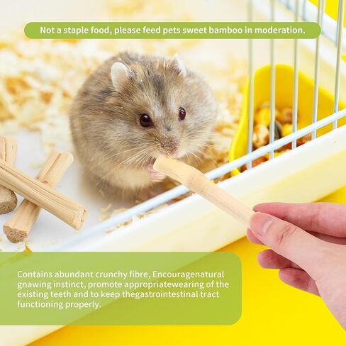 1000 جرام من أعواد المضغ المصنوعة من الخيزران الحلو للأرانب، أعواد المضغ من الخيزران الطبيعي، حلوى الأرنب المولي للحيوانات الصغيرة in Kuwait