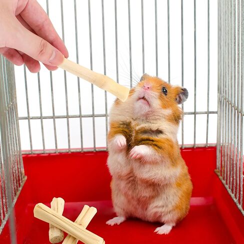 1000 جرام من أعواد المضغ المصنوعة من الخيزران الحلو للأرانب، أعواد المضغ من الخيزران الطبيعي، حلوى الأرنب المولي للحيوانات الصغيرة in Kuwait