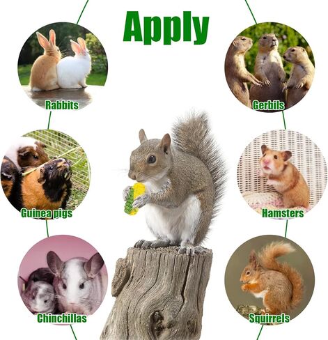 ألعاب مضغ على شكل أرنب، 150 جرام من مكافآت الأرنب، طعام خنزير غينيا الطبيعي لأسنان الحيوانات الصغيرة، ألعاب مولار للهامستر شينشيلا جربيل السنجاب in Kuwait