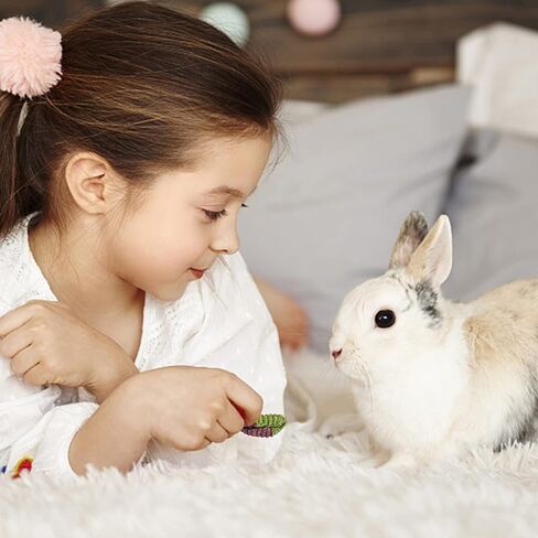 ألعاب مضغ على شكل أرنب، 150 جرام من مكافآت الأرنب، طعام خنزير غينيا الطبيعي لأسنان الحيوانات الصغيرة، ألعاب مولار للهامستر شينشيلا جربيل السنجاب in Kuwait