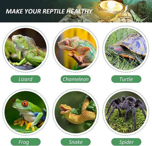 Vinaco UVA UVB ضوء الزواحف، 2 حزمة كاملة الطيف 360 درجة مصباح الحرارة الزواحف، ضوء الحرارة عكس الضوء للزواحف مع المشبك الثقيلة لملحقات خزان السلاحف التنين الملتحي حوض السمك الخفيفة in Kuwait