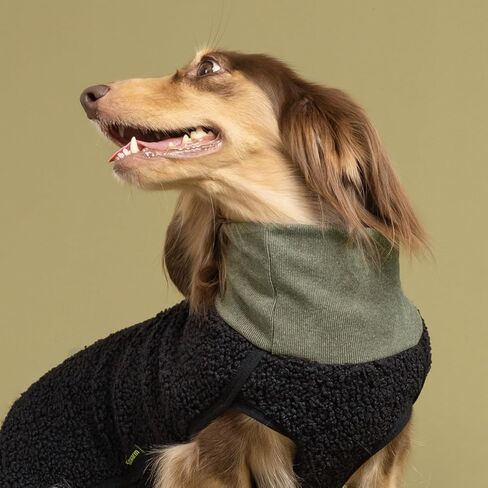 Fitwarm Sherpa Turtleneck Dog Sweater, Cozy Dog Winter Clothes for Small Dogs Girl Boy, Warm Dog Coat for Winter, Doggy Pullover Jumper, Pet Outfit, Brown, Beige, Medium in Saudi Arabia