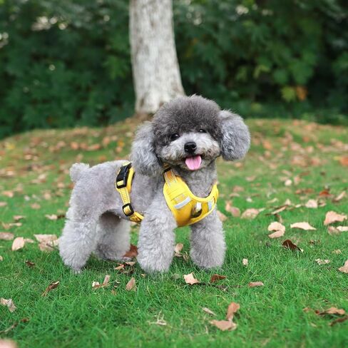 [3 in 1] Heavy Duty Dog Harness, No-Pull Reflective Tough Trim Harness for Small, Medium & Large Dogs - Military Grade Nylon, 2 Leash Clips & Handle with Padded Leash and Brush (Yellow, Medium) in Saudi Arabia