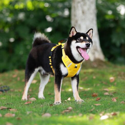 [3 in 1] Heavy Duty Dog Harness, No-Pull Reflective Tough Trim Harness for Small, Medium & Large Dogs - Military Grade Nylon, 2 Leash Clips & Handle with Padded Leash and Brush (Yellow, Medium) in Saudi Arabia