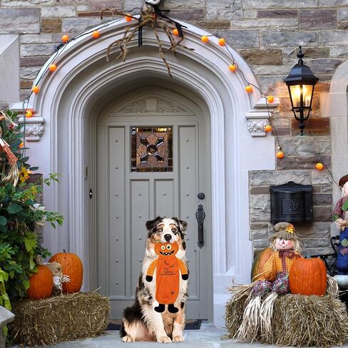 BINGPET Dog Squeaky Toys,2 Pack No Stuffing Halloween & Thanksgiving Dog Toys, Pumpkin & Turkey Interactive Plush with Squeaky Ball and Crinkle Paper, Durable Fun for Small Medium Large Dogs in Saudi Arabia