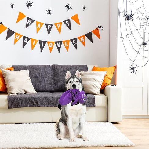 BINGPET Dog Squeaky Toys,2 Pack No Stuffing Halloween & Thanksgiving Dog Toys, Pumpkin & Turkey Interactive Plush with Squeaky Ball and Crinkle Paper, Durable Fun for Small Medium Large Dogs in Saudi Arabia