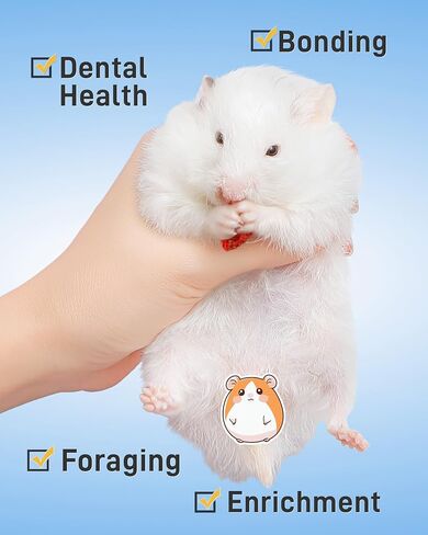BUCATSTATE Small Animal Treat 3.5oz, 100% Freeze-Dried Banana Hamster Snack & Treat for Rabbits, Guinea Pigs, Chinchillas, Dwarf Syrian Hamsters in Saudi Arabia