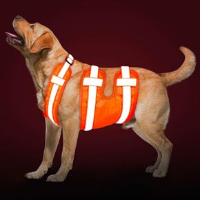 Reflective Dog Vest, Hi-Visibility Strips, Fluorescent Blaze Orange Safety Dog Harness Protective Your Best Friend in Car & Hunting Accident, Night Walking, Training, Running