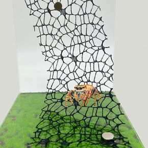 6 PCS Jumping Spider Habitat Accessories （3 Black + 3 White - Jumping Spider Webbed Moss Ribbon with Magnets for Enhanced Enclosure and Climbing Experience (Terrarium Not Included)