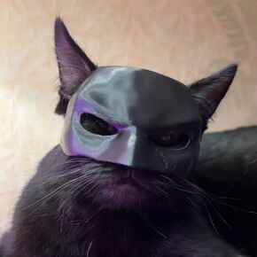 Cat Bat Mask