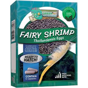 GreenWaterFarm Fairy Shrimp Thailandensis Eggs Live Fish Food for Hatching and Culture Suitable for Feed Betta Fish