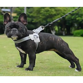 Pet Dog Cat Harness, Pet Harness with Leash Set, Adjustable Puppy Harness Comfortable Reflective Easy Control Dog with Leather Leash, No-Pull No Choke Pet Harness for Training Walking