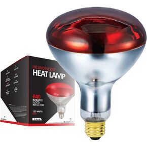 BULBMASTER 250 Watts R40 Red Heat Lamps Outdoor Bulbs for Pets Flood Light Bulb for Chickens Infrared Reflector 250W R40 Incandescent Medium E26 Base 2 Pack
