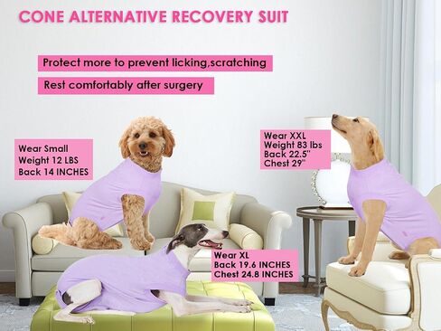 Dog Surgery Recovery Suit for Large Female Spay,Anti Licking Dog Surgical Recovery Onesie,Fashion Striped Purple L in Saudi Arabia