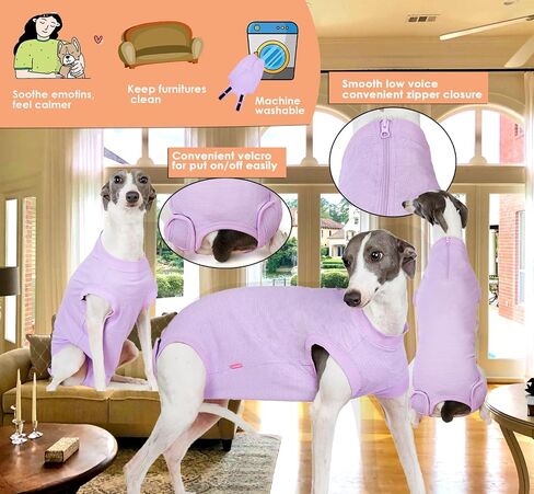 Dog Surgery Recovery Suit for Large Female Spay,Anti Licking Dog Surgical Recovery Onesie,Fashion Striped Purple L in Saudi Arabia