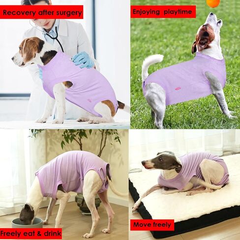 Dog Surgery Recovery Suit for Large Female Spay,Anti Licking Dog Surgical Recovery Onesie,Fashion Striped Purple L in Saudi Arabia