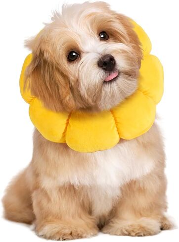 HOMBYS Soft Dog Cone for Dogs and Cats, Cute & Fluffy Flower Shape for Claming Dog, Adjustable Dog Collar Alternative After Surgery, Protective Elizabethan Collar for Dogs Recovery & Stop Licking, M in Saudi Arabia