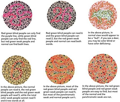 Folding Color Blind Glasses, Colorblind Correcting Glasses Red Green Blind Correcting Glasses Folding Portable Eyeglasses Weakness Glasses Color Blindness Glasses for Men Women (Black) in Saudi Arabia