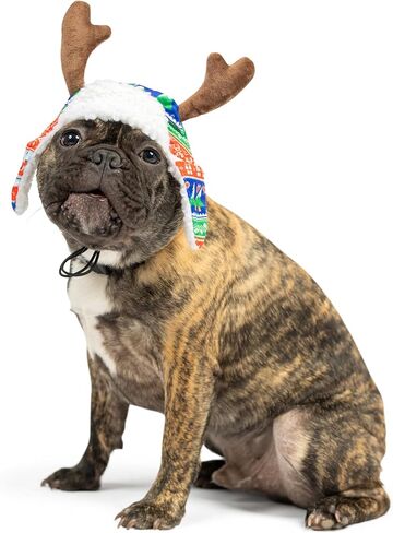 Huxley & Kent Pet Hat | Ugly Sweater Antler (Medium) | Fun Christmas Holiday Hat for Dogs/Cats | Cute, Comfortable and Fun | SnugFit Strings for Best Fit in Kuwait