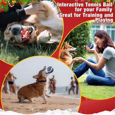 Libima 36 Pcs Dog Tennis Balls 2.5 Inches Toy Ball for Small Medium Large Dogs Durable Teething Chew Toys for Aggressive Dogs Exercise Training Catching, 3 Styles (Pumpkin) in Saudi Arabia