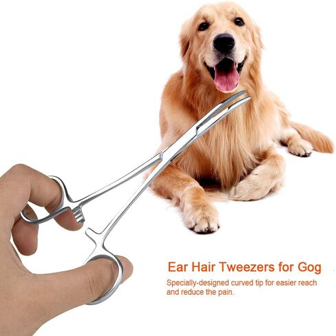 مسحوق أذن الكلب لإزالة الشعر، ملاقط شعر الأذن للكلاب، ملاقط شعر الأذن للحيوانات الأليفة، ملاقط شعر الأذن من الفولاذ المقاوم للصدأ بطرف منحني، ملاقط شعر الأذن من الفولاذ المقاوم للصدأ للكلاب الأليفة والقطط، ملاقط شعر ذات طرف منحني (L) in Saudi Arabia