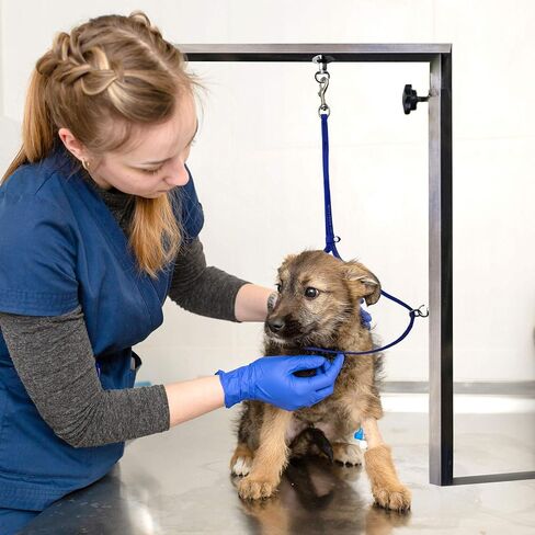 Jelly Pet Grooming Loop for Dogs, Groomers Helper, BioThane Material is Easy to Clean, Waterproof & Durable Noose Loop, Fits most Pet Grooming Tubs/Tables/ 3/8" x 24" W/Ring Purple in Kuwait