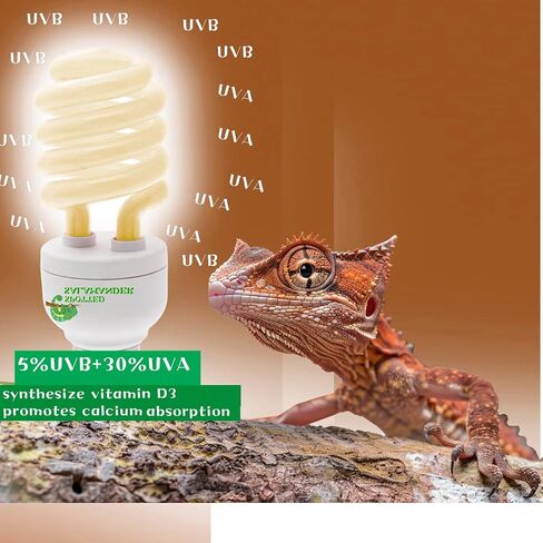 SPOTTEDSALAMANDER10.0 26W UVB Light for Reptiles Desert Terrarium Light Bulb for Reptile and Amphibian Lamp Terrarium Lamp for Desert Reptile (UVB 10.0 26W) in Saudi Arabia