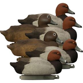 هيجدون في الهواء الطلق سفينة حربية حمراء الرأس بطة الأفخاخ، مليئة بالرغوة in Kuwait