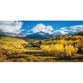 YongFoto Reptile Terrarium Background 48x24 inch Reptile Tank Background Blue Sky Mountains Meadow Pine Forests Nature View Backdrop Bearded Dragon Habitat Fish Tank Aquarium Background