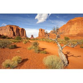 Reptile Habitat Background Sandstone Rock Mountain Scenery Backdrop Desert Terrarium Background Aquarium Background Durable Polyester Background Vinyl 72x18in