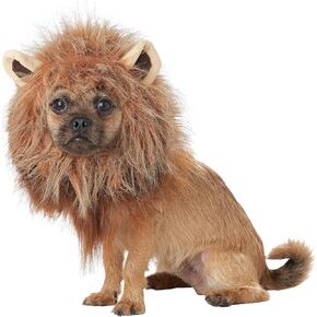 California Costumes Pet King of The Jungle Dog Costume Brown, Small