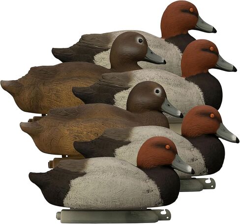 هيجدون في الهواء الطلق سفينة حربية حمراء الرأس بطة الأفخاخ، مليئة بالرغوة in Kuwait