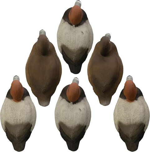 هيجدون في الهواء الطلق سفينة حربية حمراء الرأس بطة الأفخاخ، مليئة بالرغوة in Kuwait