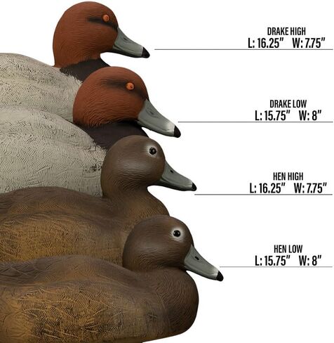 هيجدون في الهواء الطلق سفينة حربية حمراء الرأس بطة الأفخاخ، مليئة بالرغوة in Kuwait