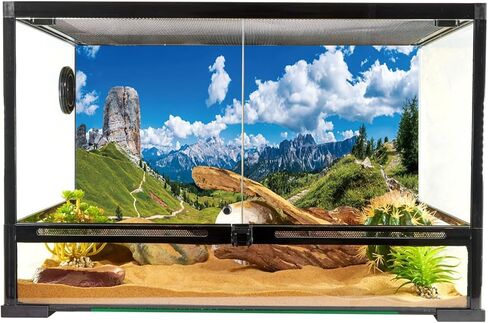 YongFoto الزواحف Terrarium الخلفية 48x24 بوصة خلفية خزان الزواحف السماء الزرقاء الجبال مرج غابات الصنوبر عرض الطبيعة خلفية التنين الملتحي الموئل حوض للأسماك خلفية الحوض in Kuwait