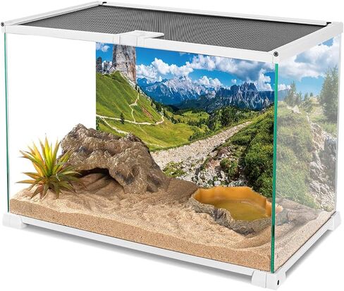 YongFoto الزواحف Terrarium الخلفية 48x24 بوصة خلفية خزان الزواحف السماء الزرقاء الجبال مرج غابات الصنوبر عرض الطبيعة خلفية التنين الملتحي الموئل حوض للأسماك خلفية الحوض in Kuwait