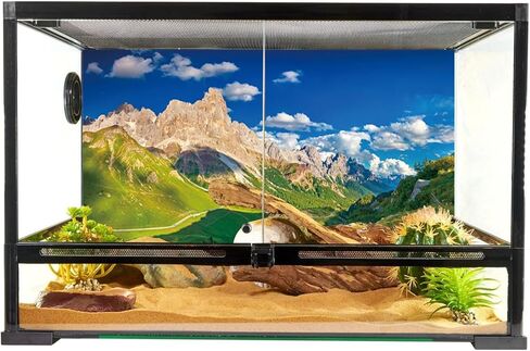YongFoto الزواحف Terrarium الخلفية 48x24 بوصة خلفية خزان الزواحف السماء الزرقاء الجبال مرج غابات الصنوبر عرض الطبيعة خلفية التنين الملتحي الموئل حوض للأسماك خلفية الحوض in Kuwait