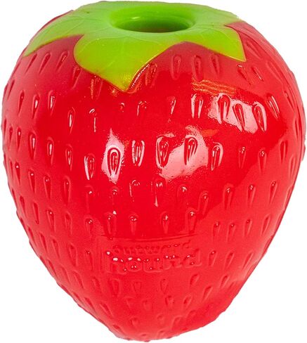 Outward Hound Dental Asparagus Treat-Dispensing Dental Dog Chew Toy, Medium, Green in Kuwait