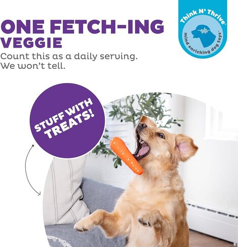 Outward Hound Dental Asparagus Treat-Dispensing Dental Dog Chew Toy, Medium, Green in Saudi Arabia