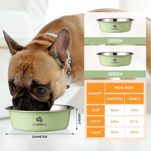 Stainless Steel Metal Dog Bowl Set of 2, Animire Nonslip Dog Water and Food Bowl, Easy to Clean, Each Holds 3.8 Cup in Saudi Arabia