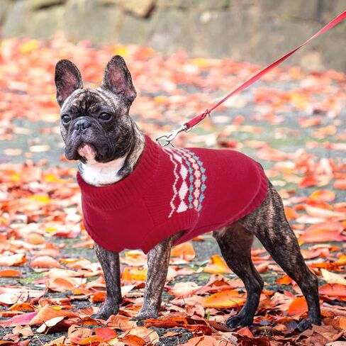 Kuoser Dog Sweater, Small Dog Sweater, Dog Sweaters for Small Dogs Girl Boy, Thermal Puppy Christmas Sweater Knitwear, Cold Weather Pet Winter Pullover Sweatshirt Apparel with Leash Hole, Green XS in Saudi Arabia