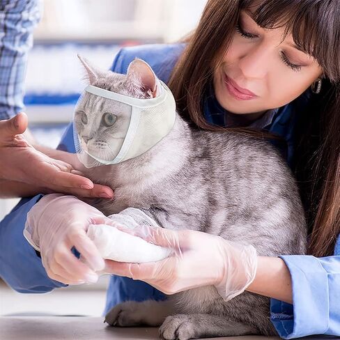 Cat Muzzle for Grooming, Transparent Cat Mouth Muzzle for Nail Trimming, Anti-Biting Breathable Cat Helmet, Adjustable Kitten Mask for Treatment Recovery Pet Puppy Hood Prevent Scratching Biting in Kuwait
