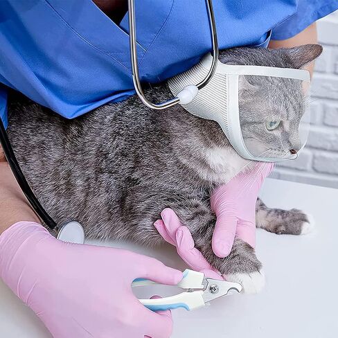 Cat Muzzle for Grooming, Transparent Cat Mouth Muzzle for Nail Trimming, Anti-Biting Breathable Cat Helmet, Adjustable Kitten Mask for Treatment Recovery Pet Puppy Hood Prevent Scratching Biting in Kuwait