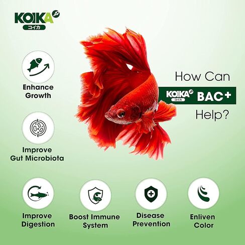 KOIKA BAC+ Aquarium Probiotics, Immunity Boosting, Disease Resistance & Improve The Digestive System (BAC+,105ml) in Kuwait