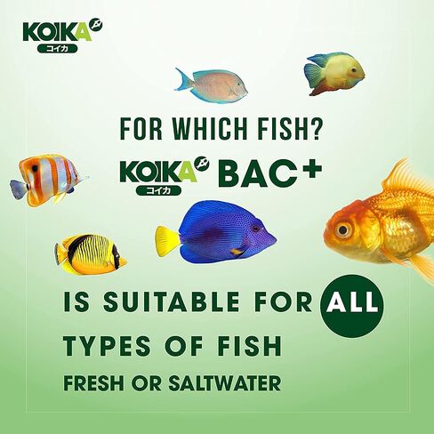 KOIKA BAC+ Aquarium Probiotics, Immunity Boosting, Disease Resistance & Improve The Digestive System (BAC+,105ml) in Kuwait
