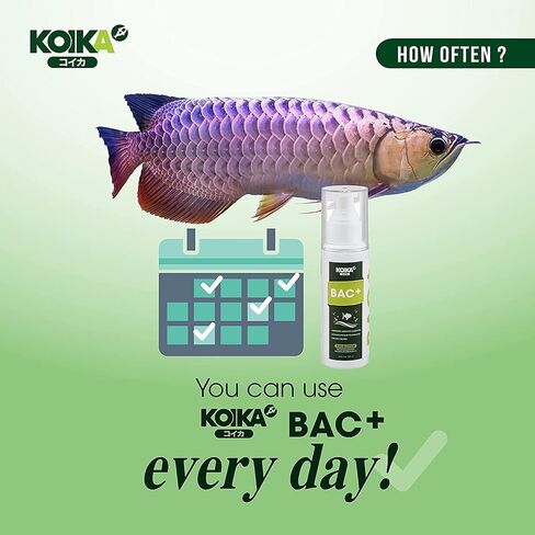 KOIKA BAC+ Aquarium Probiotics, Immunity Boosting, Disease Resistance & Improve The Digestive System (BAC+,105ml) in Kuwait