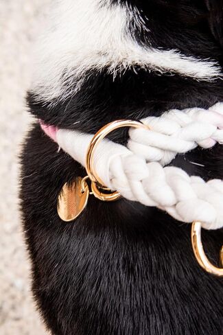 Rainbow Colored Slip Collar for Medium and Large Dogs, Handmade Ombre Dog Collar, Collar Size: up to 18" and Rope is 1/2" Wide (Rainbow, Medium) in Kuwait