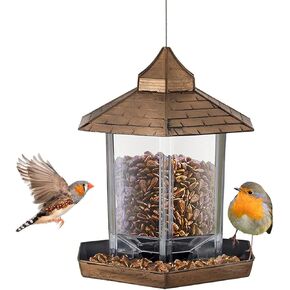 1L Wild Bird Feeder Hanging for Yard Outdoor, Garden Decoration for Bird Watchers Kids, Hexagon Shaped with Proof for Easy to Clean and Refill